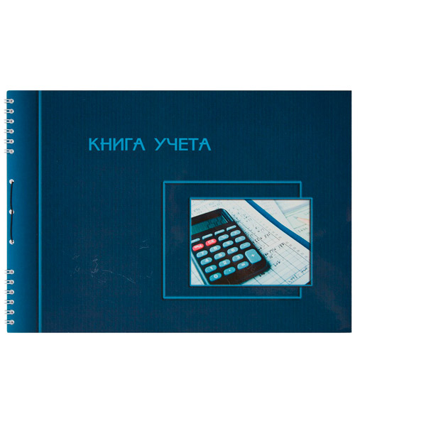 Книга учета  50 листов, A4, горизонтальная, пустографка, блок офсет, обложка картон, цвет синий, Полином