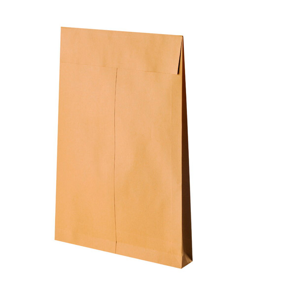 Почтовый пакет, E4, 280*400*40 мм, крафт-бумага, цвет коричневый, стрип, в упаковке 100 шт., Bong, Gusset, Россия