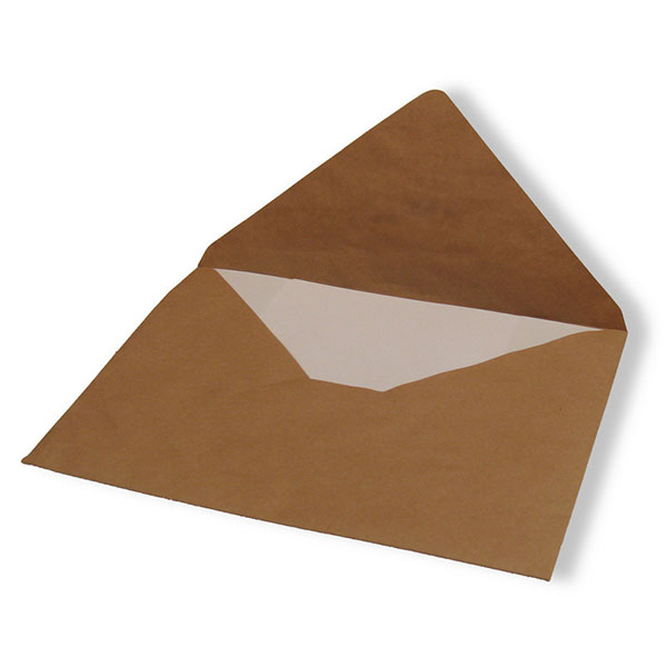 Почтовый конверт, E4, 290*390 мм, крафт-бумага, цвет коричневый, без клея, в упаковке 500 шт., Россия