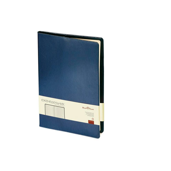 Еженедельник недатированный Bruno Visconti, "Profy", 222*302 мм, A4, 64 листа, Китай