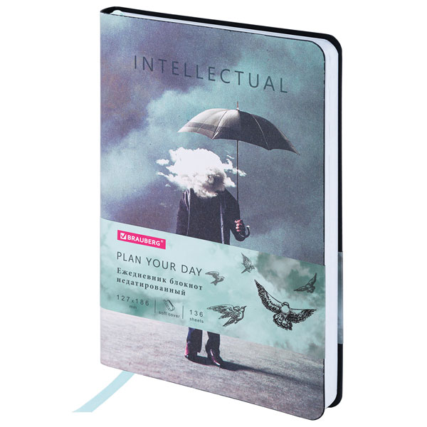 Ежедн. б/дат, В6, рисунок, иск.кожа, BRAUBERG VISTA "Spirit", 127х186мм, 136л