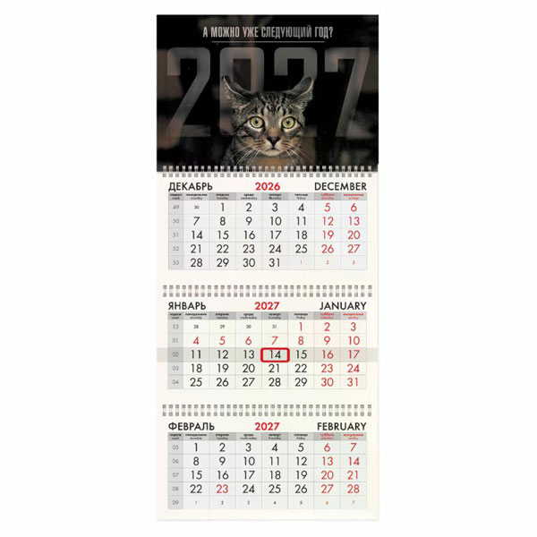 Календарь квартальный на 2027 г., 3 блока, 3 гребня, бегунок, мелованная бумага, BRAUBERG FUN, "Sad cat", 118406